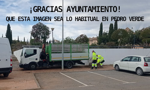 Pedro Verde Servicios de Jardines