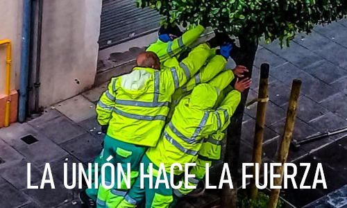 La unión hace la fuerza - Pedro Verde