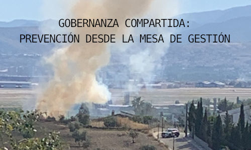 Incendio en una parcela con vegetación seca en Pedro Verde.